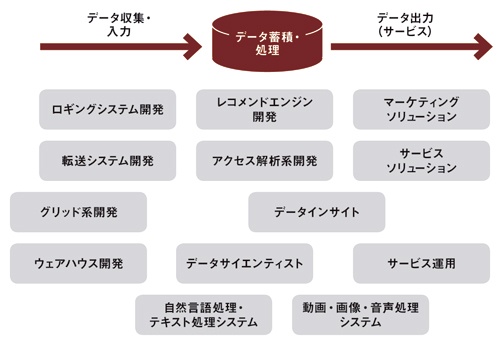 データ活用の専門人材に13の担当を設けた