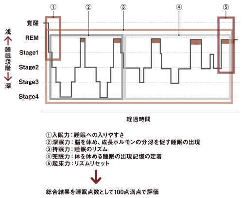 1日の睡眠を5つのステージに分割することにより、睡眠の質を分かりやすく評価