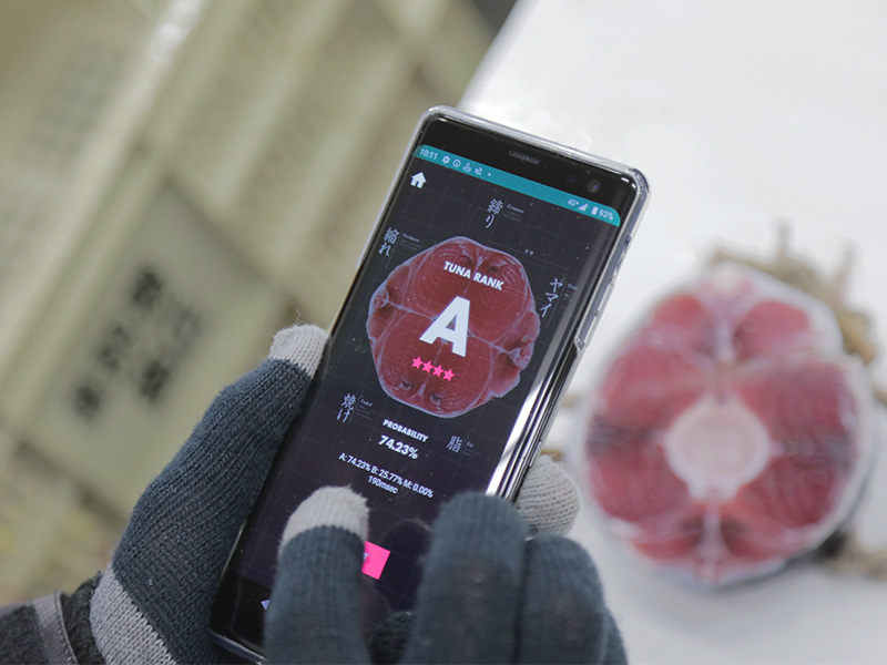 異能の電通マン「おいしいマグロを見抜くAI」を実用化した舞台裏