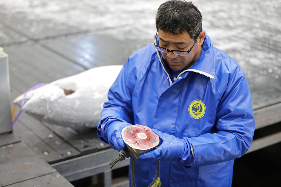 目利き職人はマグロの尾の断面で良しあしを判断する（画像提供／電通）
