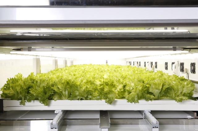 街の空き駐車場に植物工場が大増殖? MaaSで新たな商機 Beyond MaaS 移動の未来