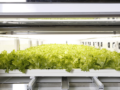 街の空き駐車場に植物工場が大増殖？ MaaSで新たな商機