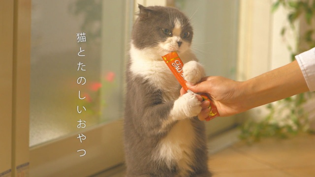 いなばペットフードの猫のおやつ「CIAO ちゅ～る」。耳に残る「ちゅ～る ちゅ～る CIAO ちゅ～る♪」の歌で一躍有名になった。2015年からは、猫の飼い主からの投稿動画をCMに使用している