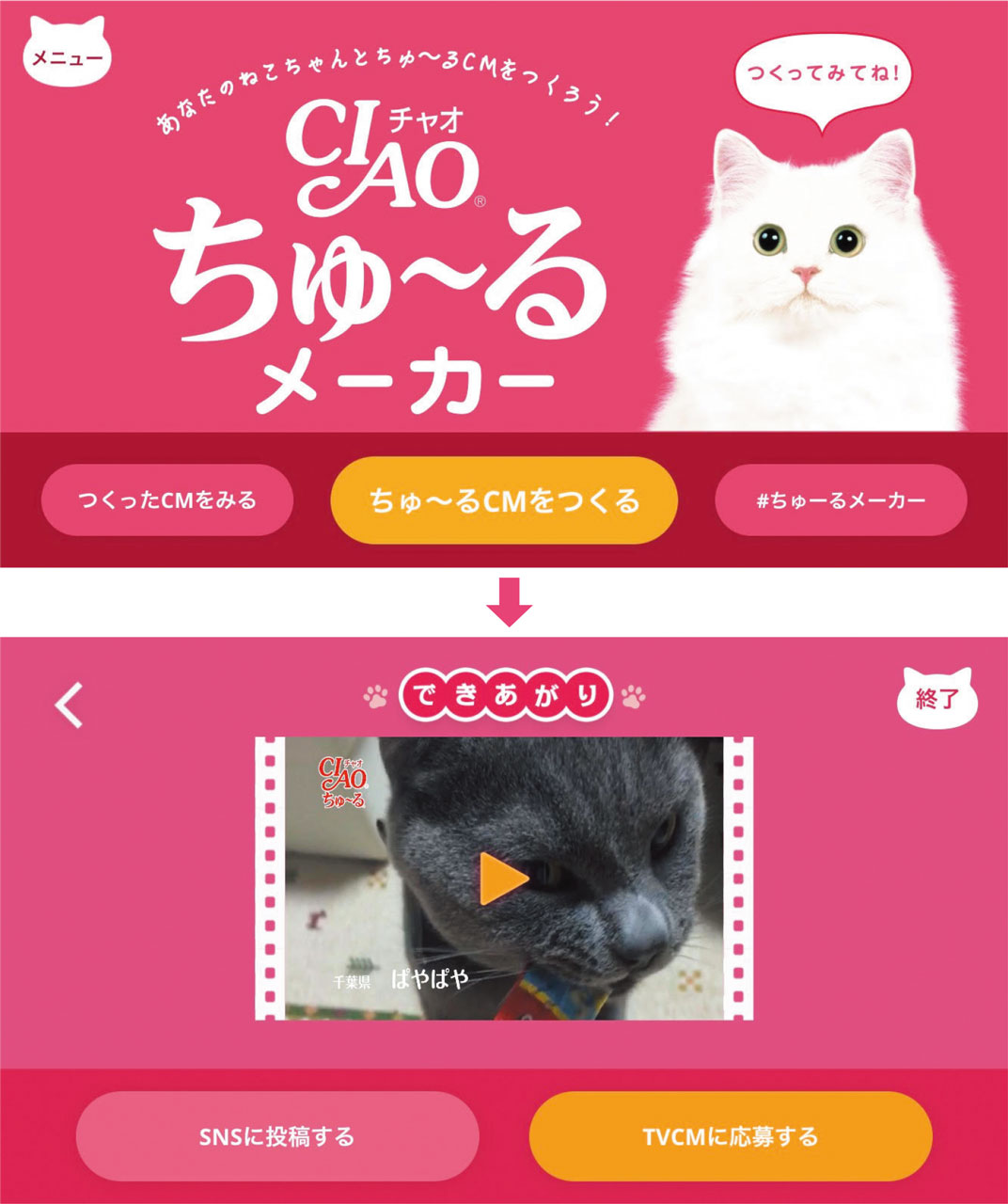 猫のおやつ Ciaoちゅ る 大ヒットの裏側 仕掛け人に聞く 日経クロストレンド