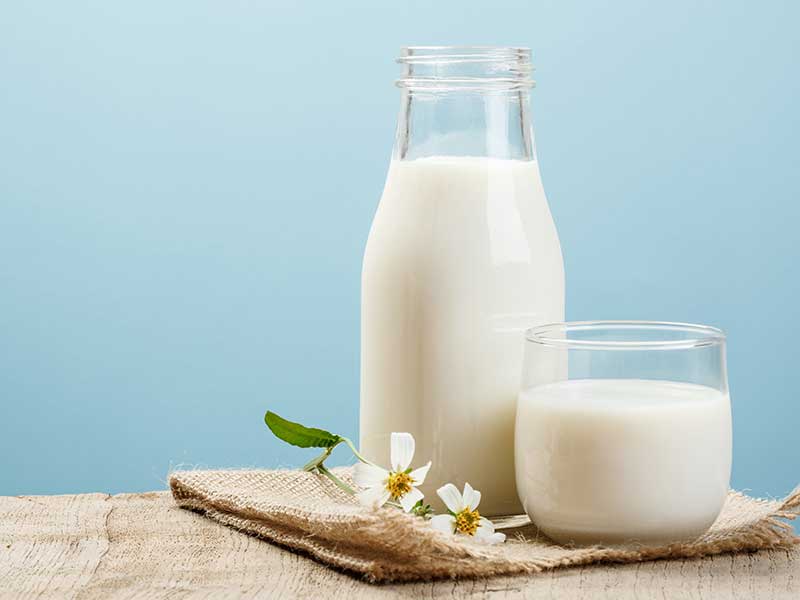 牛なしで乳たんぱく質作る新興、驚愕の資金調達【海外提携誌】