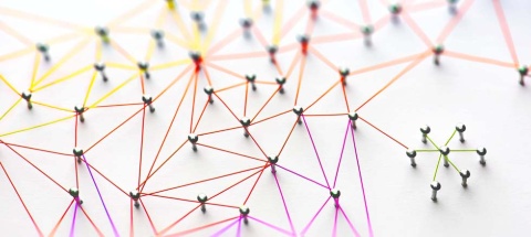(c)optimarc/Shutterstock