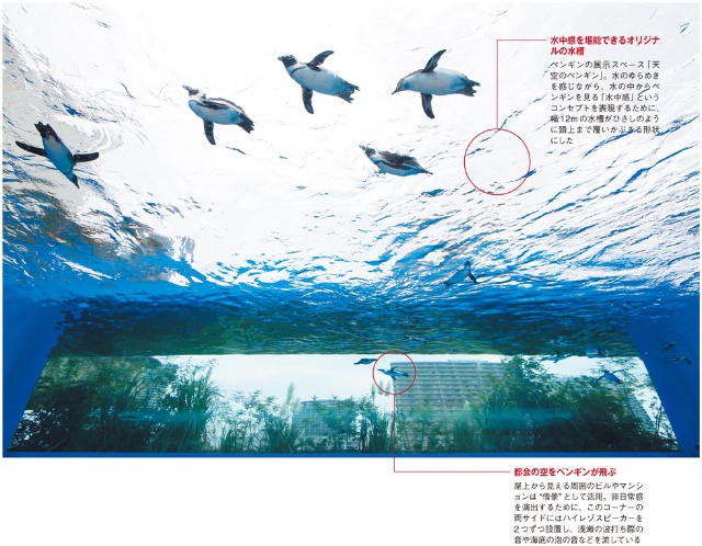 サンシャイン水族館のv字回復 制約 が生んだ新発想で 日経クロストレンド サンシャイン水族館のv字回復 制約 が生んだ新発想で 日経クロストレンド