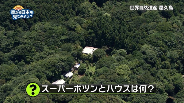 低予算でも面白い番組を生み出す テレ東 的発想術とは 日経クロストレンド 低予算でも面白い番組を生み出す テレ東 的発想術とは 日経クロストレンド