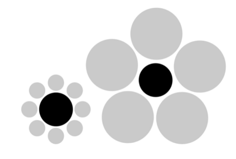 「インサイト発見力」を高める脳科学 非合理な判断を理解する(画像)