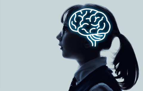 インサイトワークは脳科学と密接な関係がある(写真/Shutterstock)