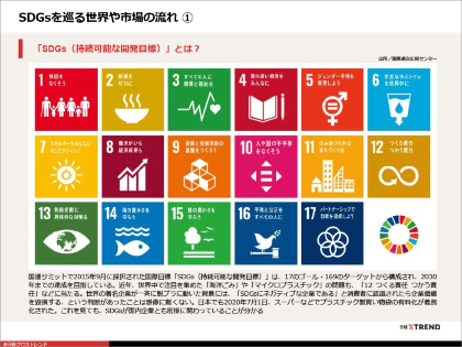 パワポまとめ「廃棄物から価値を生む SDGs厳選事例10選」(画像)