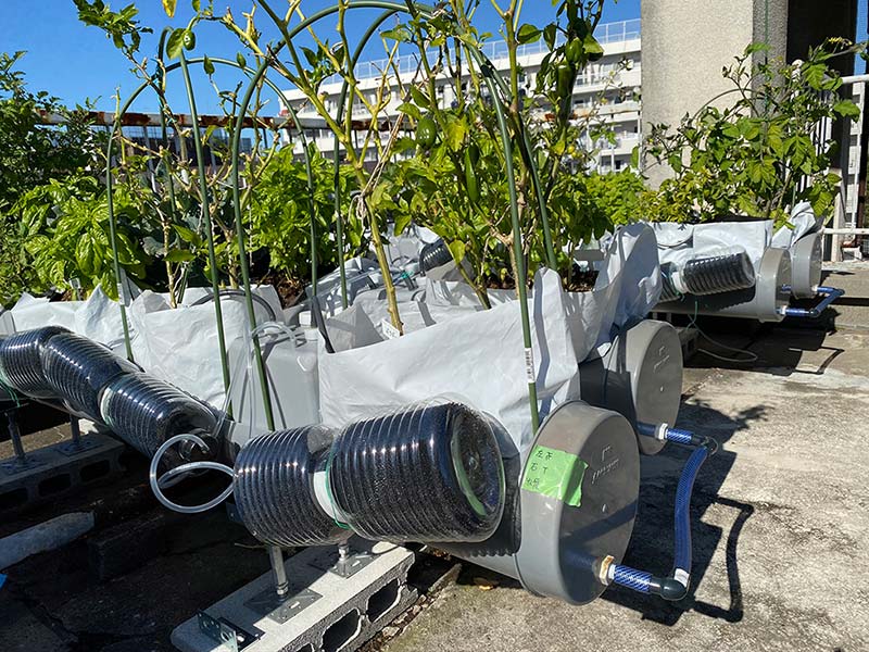 農作物が倍速で育つ　エコで全自動なモバイル農業が地球を救う