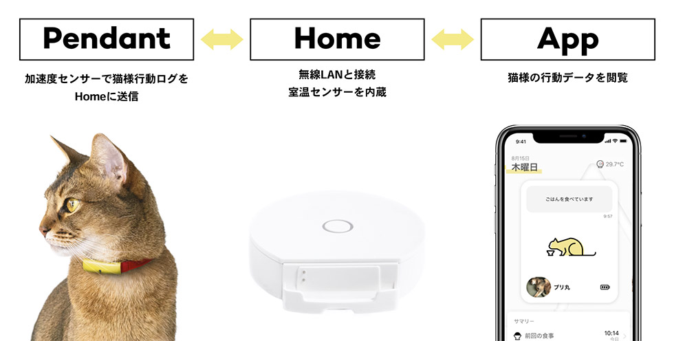 すべては、猫様のために。」 秀逸コピーが好調企業の推進力に:日経 ...