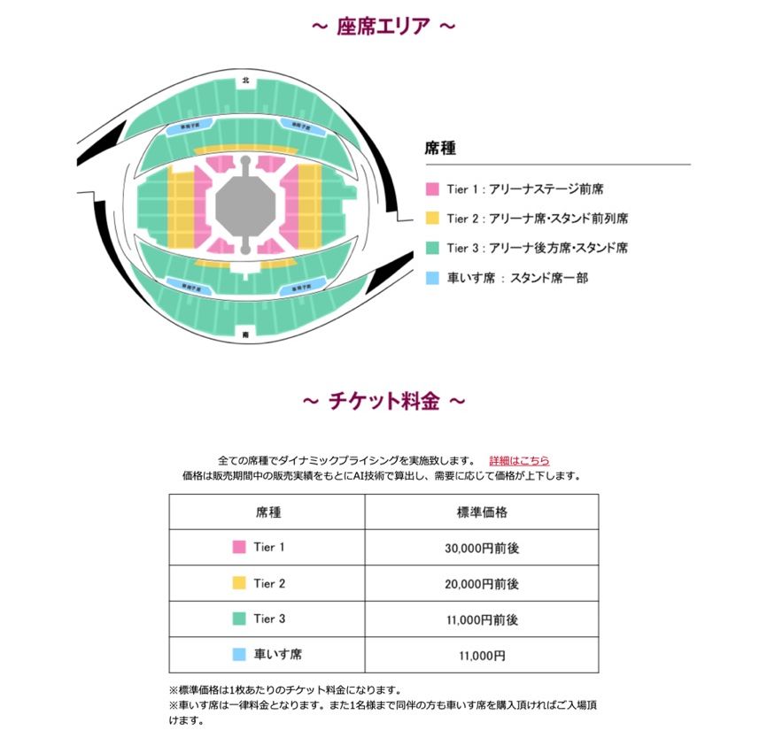 浜崎あゆみ 東京 チケット - ミュージシャン