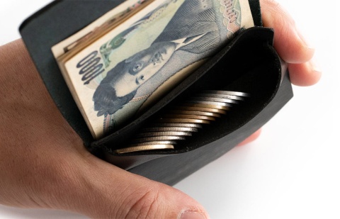 硬貨を無造作に入れても、財布を揺らすとコインポケットの中で自然に整列する