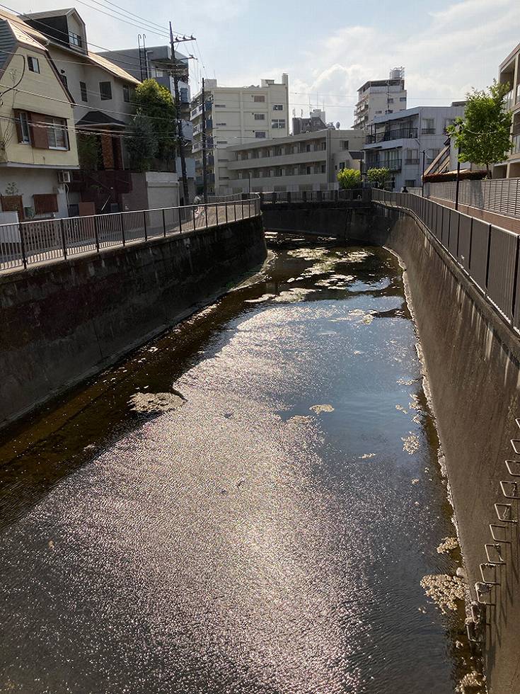 スマートHDR機能をオンにして撮影。川の水面の反射を抑えながら立体感に富んだ写真が撮れる