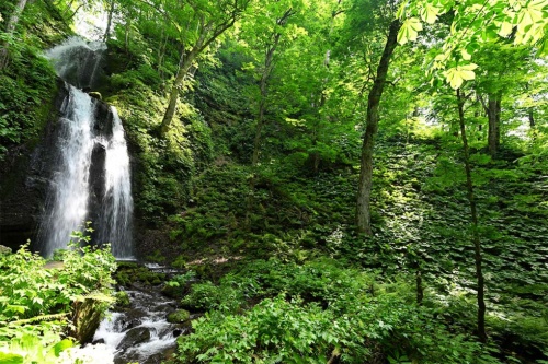 奥入瀬渓流にある14本の滝の中で、代表的な滝の一つといわれる高さ20メートルの「雲井の滝」