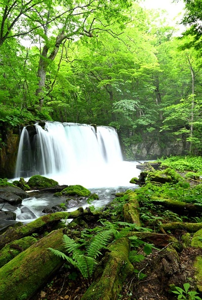 横幅約20メートル、落差7メートルで奥入瀬渓流最大の「銚子大滝」。雲井の滝と人気を二分する