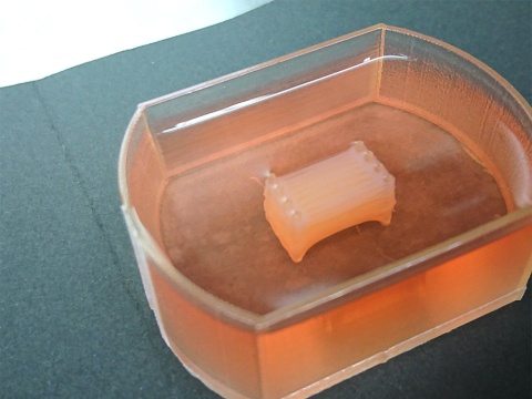 日清食品ホールディングスと東京大学が開発に成功した世界初サイコロ状の“培養ステーキ肉”(写真提供/日清食品ホールディングス)