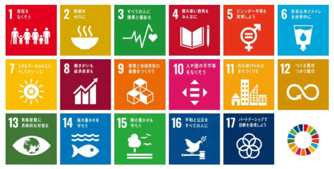 SDGs(持続可能な開発目標)には17のゴール、169のターゲットがある(出所/外務省ホームページ)