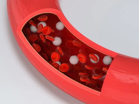 人体血管内の血球流動のイメージ（画像はテンセントのニュースリリースより）