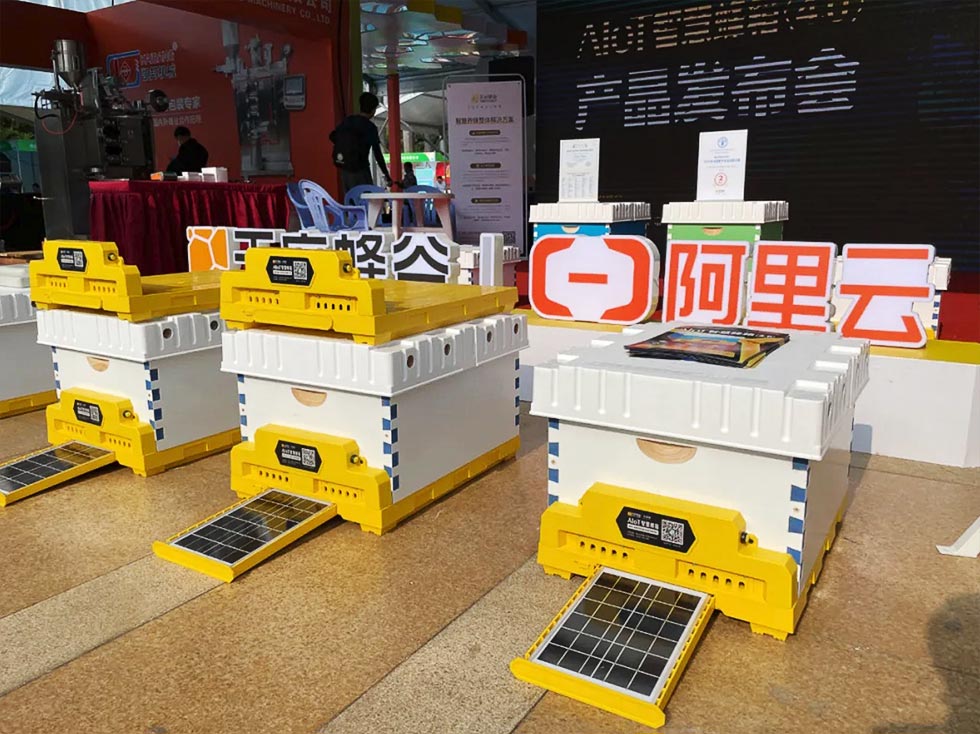 アリババがハチミツづくりに進出？ 「AI養蜂箱」で生産高30％増：日経