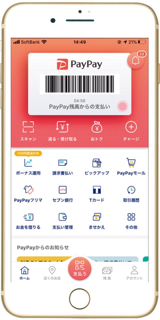 日曜日 paypay モール