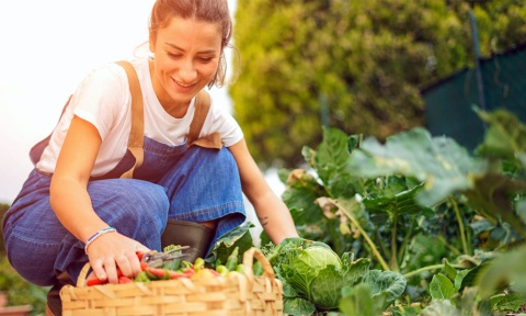 農業ビジネスに参入する層が広がっている（写真／Shutterstock）