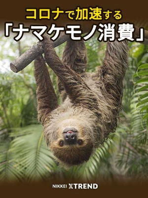 すっぴん力を磨く女性たち ヒット狙うなら ナマケモノ に学べ 日経クロストレンド すっぴん力を磨く女性たち ヒット狙うなら ナマケモノ に学べ 日経クロストレンド