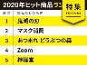 2020年ヒット商品ランキング 日経トレンディが選んだベスト30