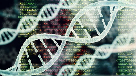 遺伝情報をITの手法で解析する「バイオインフォマティクス」の技術を持つアメリエフ（東京・墨田）は、医療の情報を集約するプラットフォーム作りを目指す（写真提供／Shutterstock）