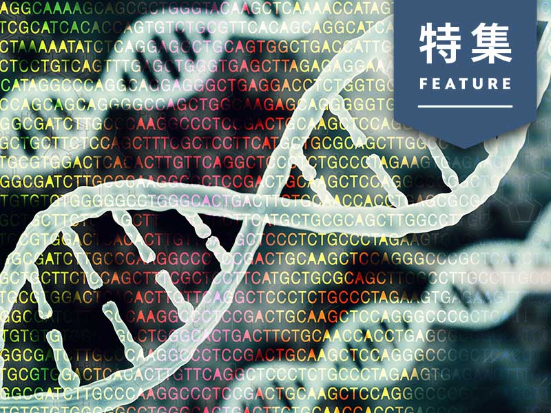 健康診断からゲノム情報まで　医療界のグーグル目指すデータ基盤