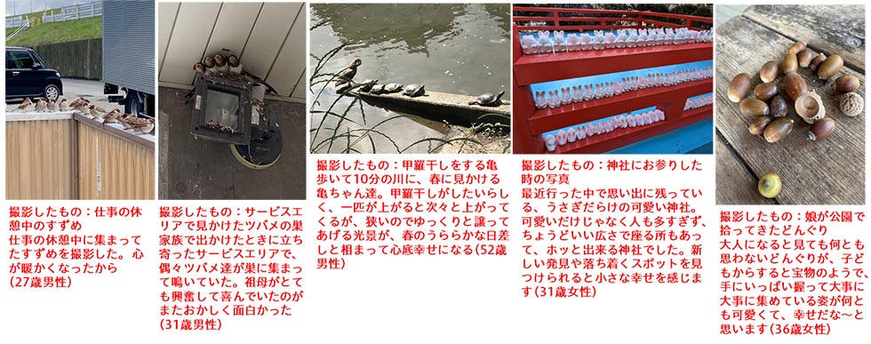 人の「幸せ」を写真でのぞき見 家族ありでも“ひとり”の隙間探す：日経