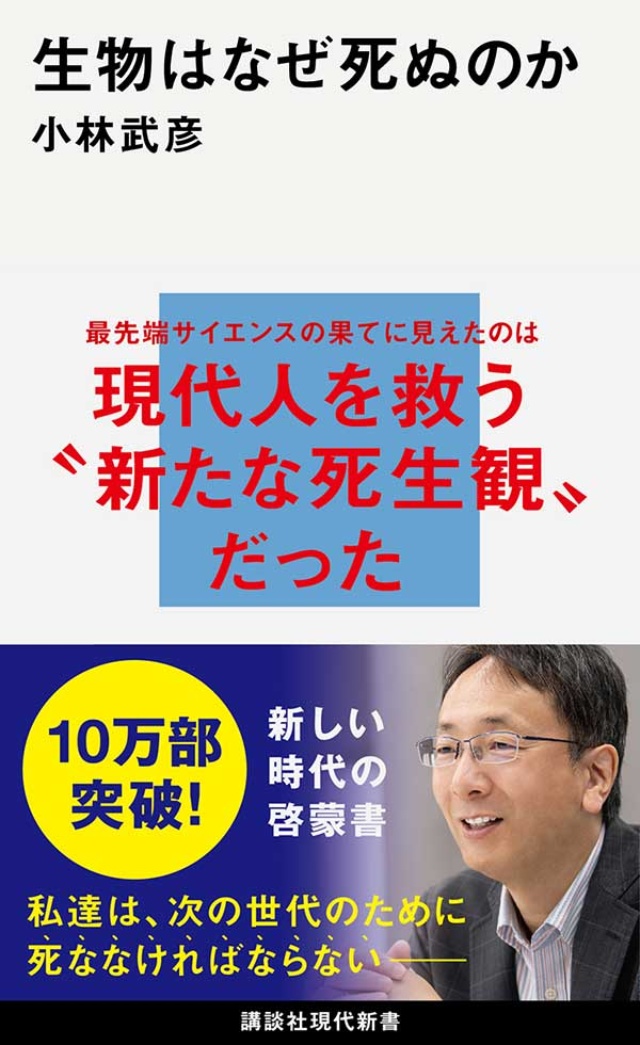 なぜ 空気読めない人 は必要か 生物学者 小林武彦氏に聞く 日経クロストレンド なぜ 空気読めない人 は必要か 生物学者 小林武彦氏に聞く 日経クロストレンド