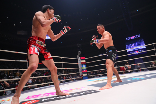 RIZIN」快進撃の理由 CEOが語る14年ぶり東京ドームまでの軌跡：日経