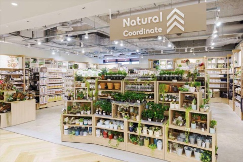 「Natural Coordinate」は21年4月3日に大阪にオープンした大創産業の新ブランド。ダイソーと300円ショップ「THREEPPY」が扱う商品のなかからナチュラルテイストの商品を厳選したセレクトショップだ