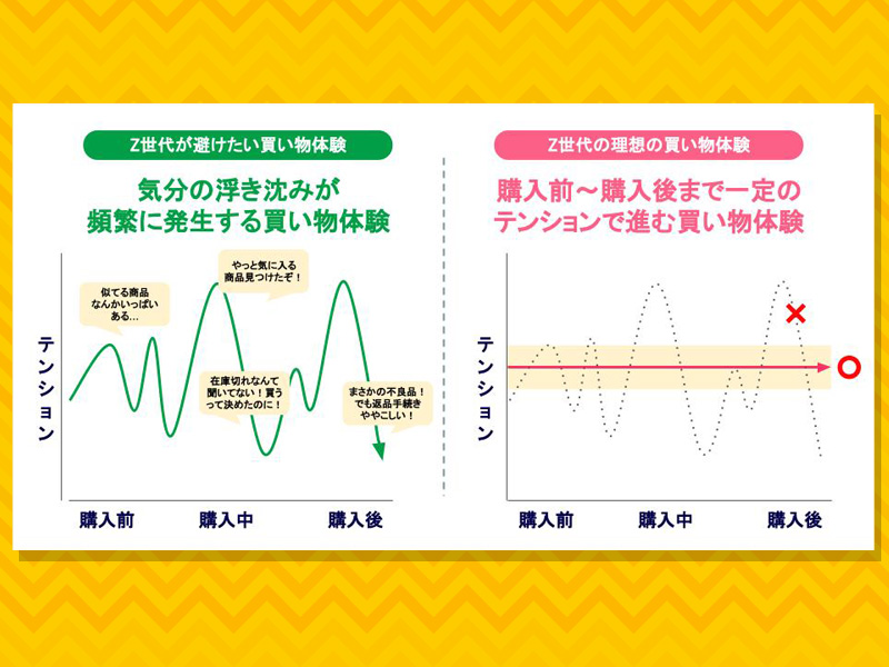 Z世代のEC活用、4つのポイント　DMで質問？　購入後はドライに