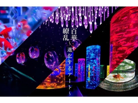 「アートアクアリウム美術館 GINZA」が銀座三越に開業