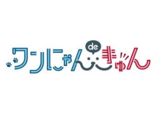 あいおいニッセイ、ペットと飼い主のための保険を発売