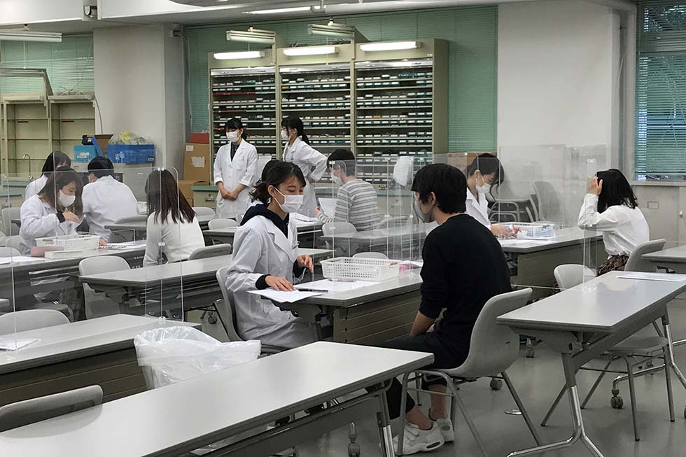 慶應義塾大学 薬学部 2018 最近6か年 慶応 早稲田大学 早大 慶應義塾大学 薬学部 2018 最近6か年 慶応 早稲田大学 早大 早慶W