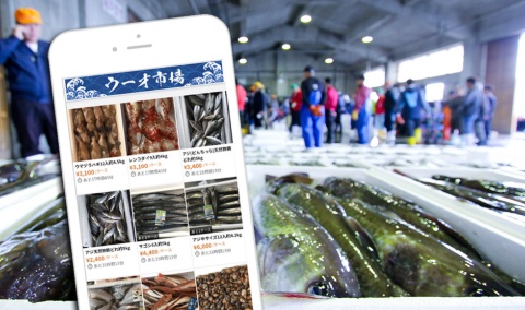 ウーオ（広島市）は産地市場とスーパーがスマートフォンで魚を取引できるデジタル市場を2020年9月に開始した