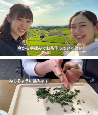 福岡県では店舗のパートナーが“八女ガールズ”となって、茶の生産者のもとを訪ねた。その様子を他のパートナーにも共有し、地元の理解を深めていった