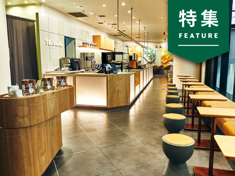なぜスタバが「お茶」の店？　森井CMOが明かすティー戦略