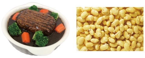 丸大豆の発芽条件を変えることで、味や食感を調整して様々な肉に近づける