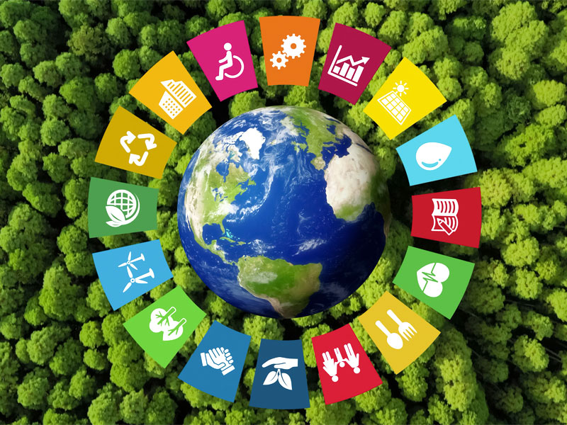 SDGs論文数のトップは？　NTTや日立製作所が大健闘の理由