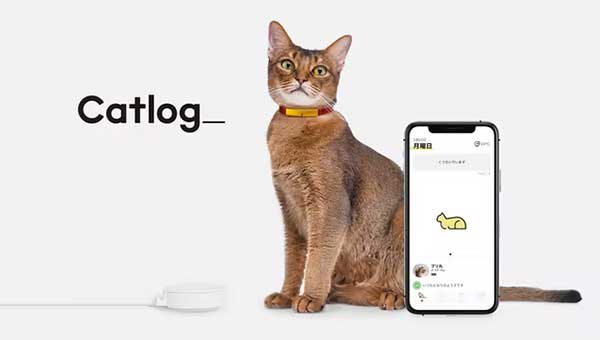 あおくん様専用自動トイレ 体調管理 iPhone Android 猫好き あおくん様専用自動トイレ 体調管理 iPhone Android 猫好き