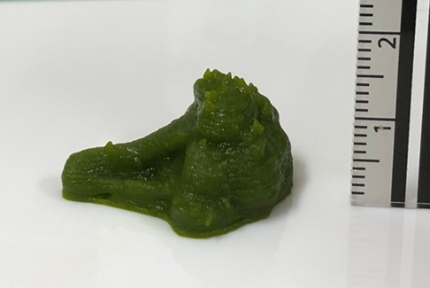 直径0.5ミリメートルのノズルで出力。細いノズルからペースト状の材料を絞り出すことで細部までブロッコリーの構造を再現できた