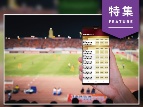 野球で先行 「ファンタジースポーツ」がブレイク間近【未来予測3】