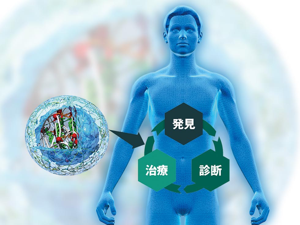 極小の“体内病院” ナノマシンが病気を発見・治療【未来予測5】：日経