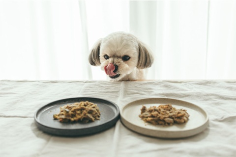 ココグルメのドッグフードは、人間の食品基準と同じ調理法、衛生基準で作られている。既存のドッグフードと切り替えると、食いつきが断然違うという